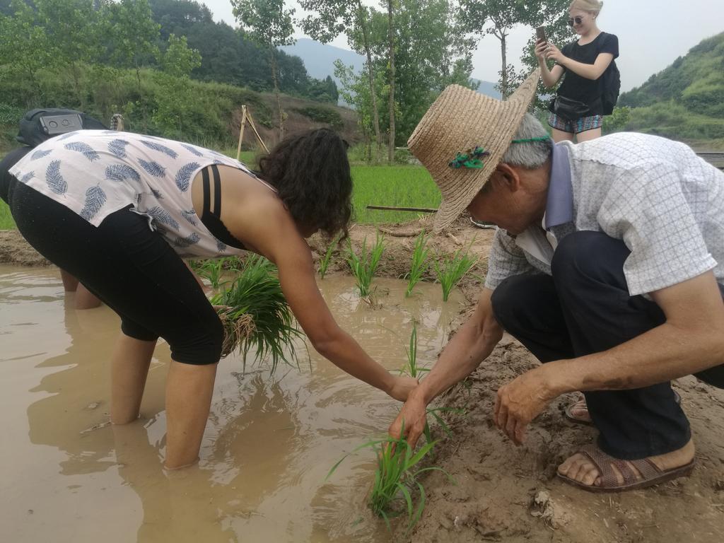 Zhangjiajie Jijiehao Inn 외부 사진